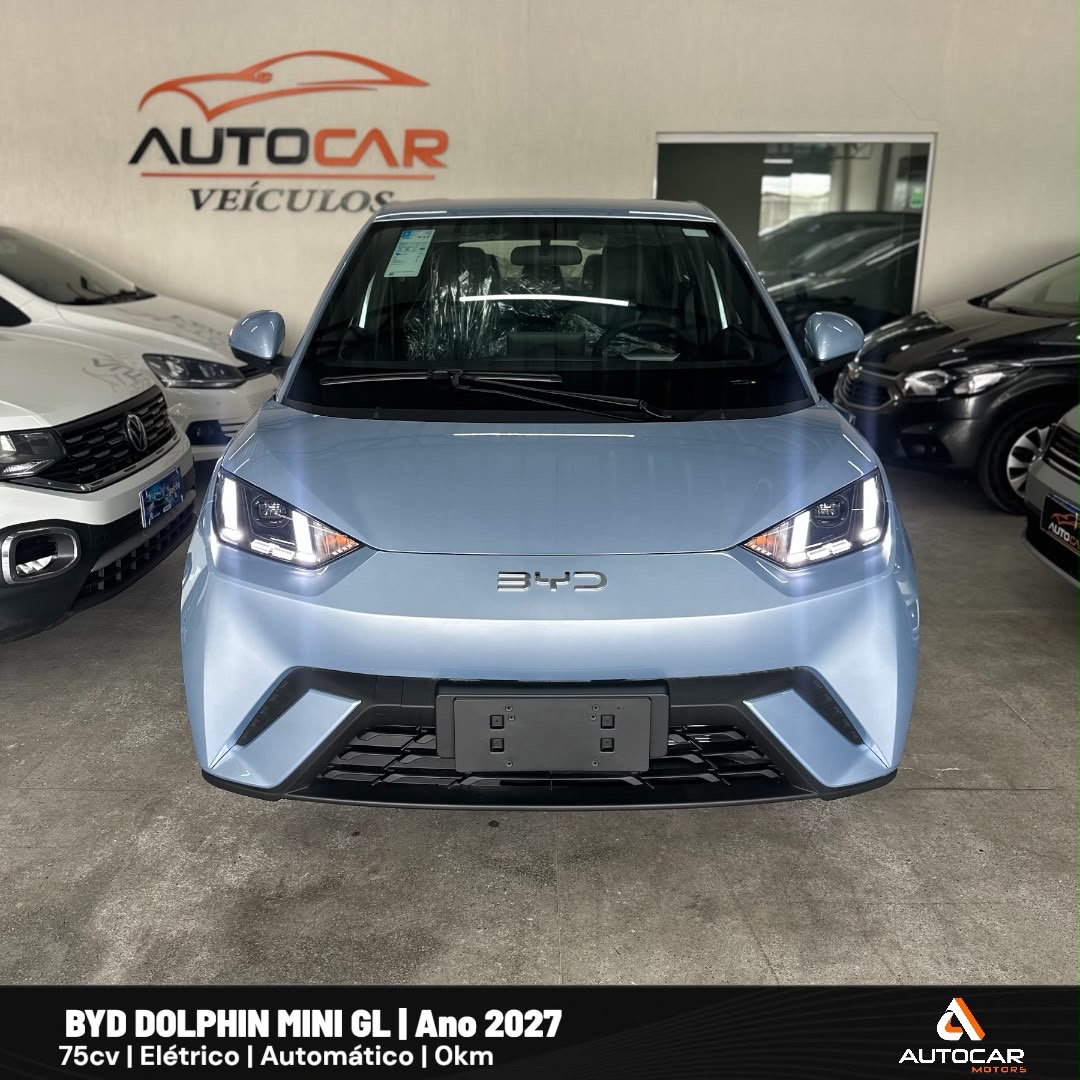 BYD  Dolphin Mini GL