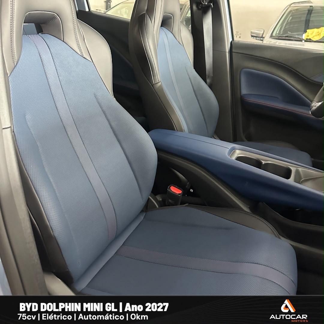 BYD  Dolphin Mini GL