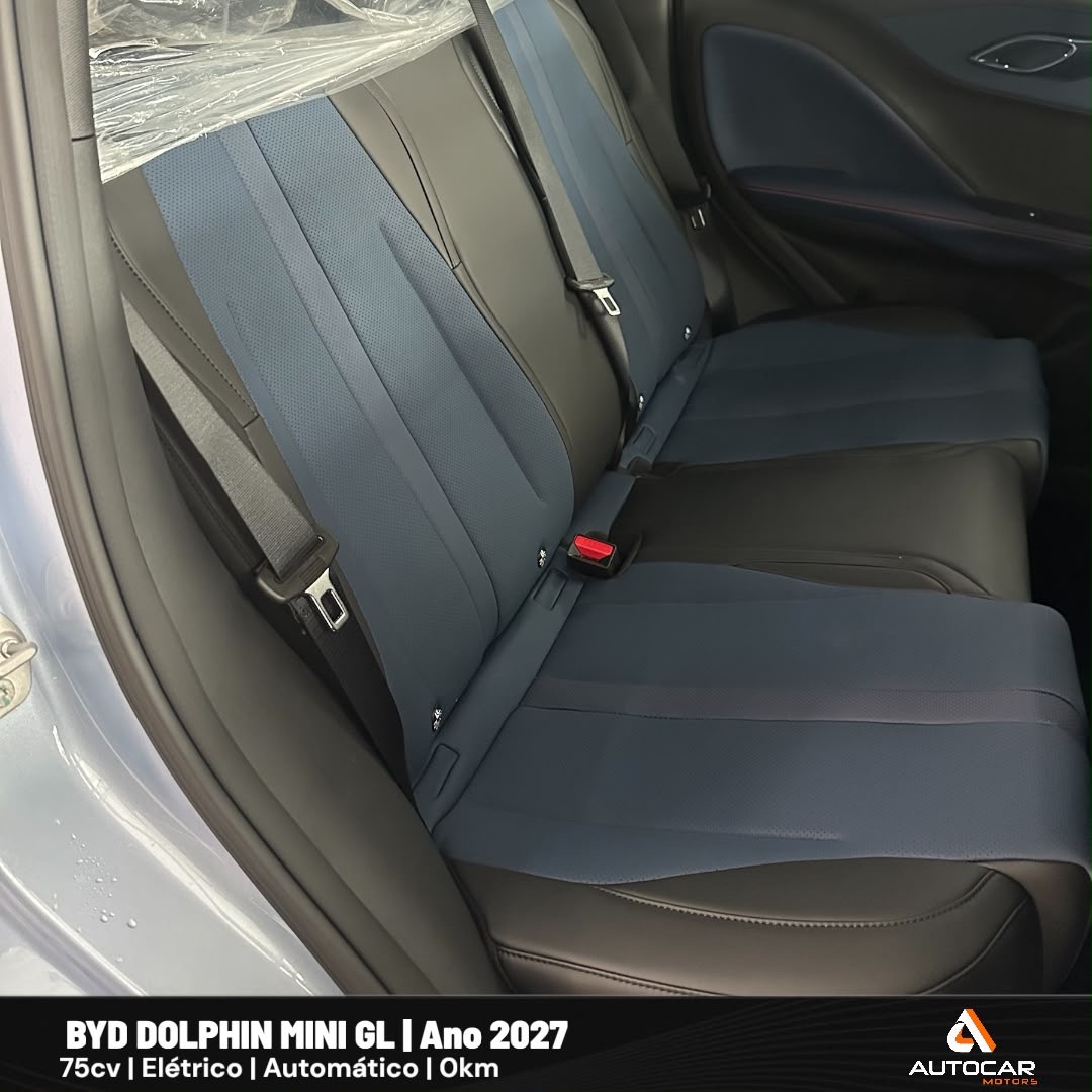 BYD  Dolphin Mini GL