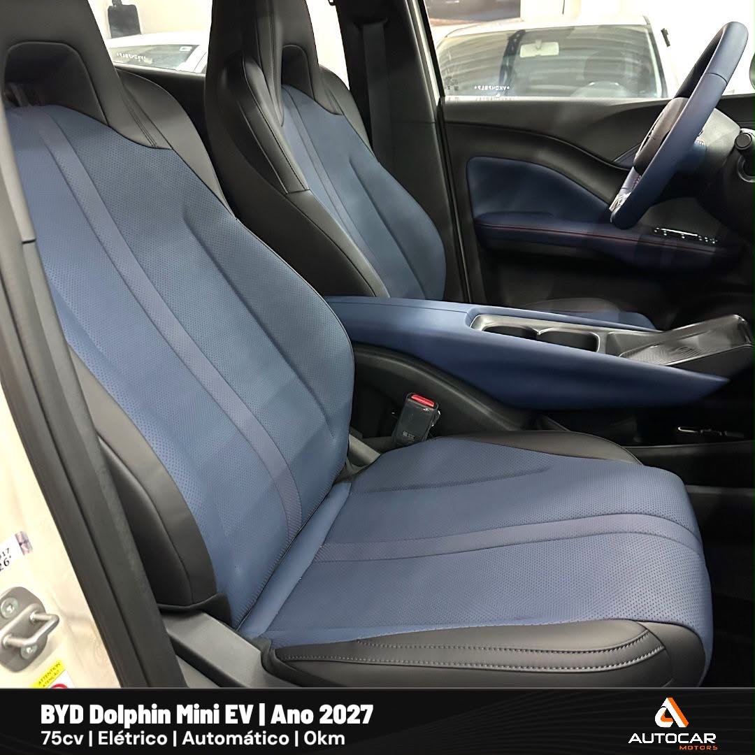 BYD Dolphin Mini GL 